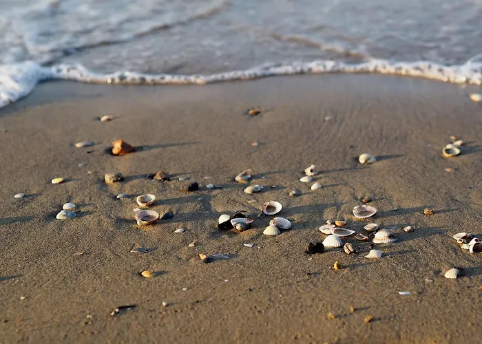 Апартаменти Chic By The Coast In